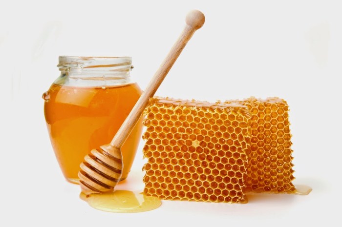 manfaat madu lebah asli