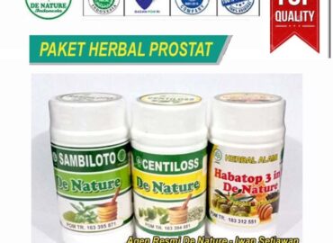 obat prostat herbal