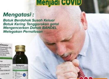 obat gatal herbal paling ampuh