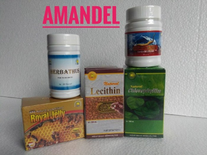 obat herbal amandel