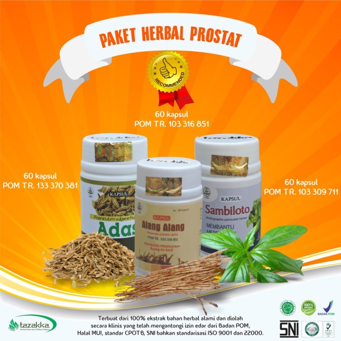 prostat obat herbal sambiloto tazakka ekstrak paket 3in1 alang akar daun biji adas alami mengobati penyakit diskon