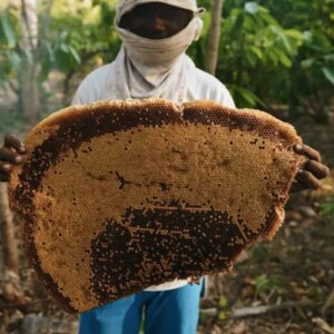 Serunya ikut panen madu hutan di pedalaman Flores - Lifestyle Fimela.com