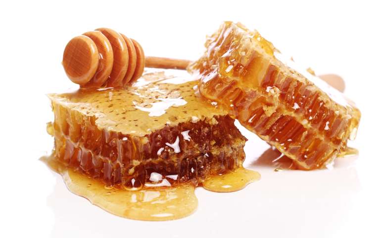 manfaat clover honey